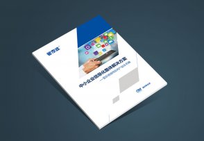 成都畫冊_任我行軟件企業宣傳冊