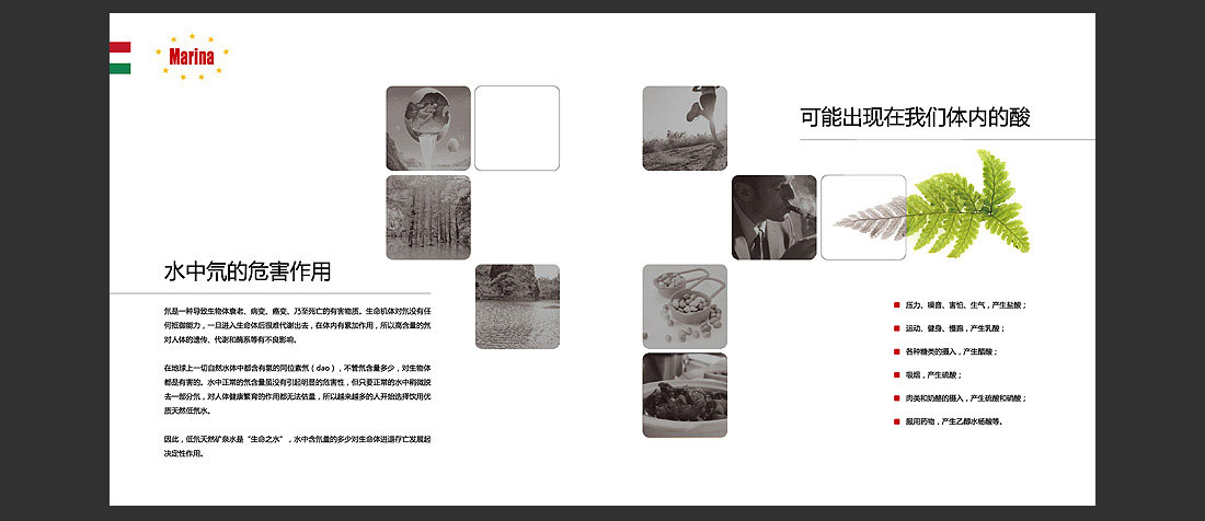 瑪麗娜產品宣傳冊_國外水品牌畫冊-5