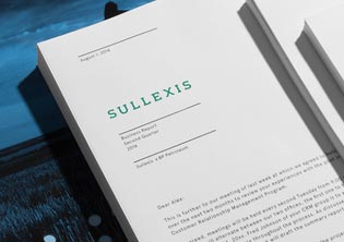 天津斯奈爾電子商務公司LOGO設計