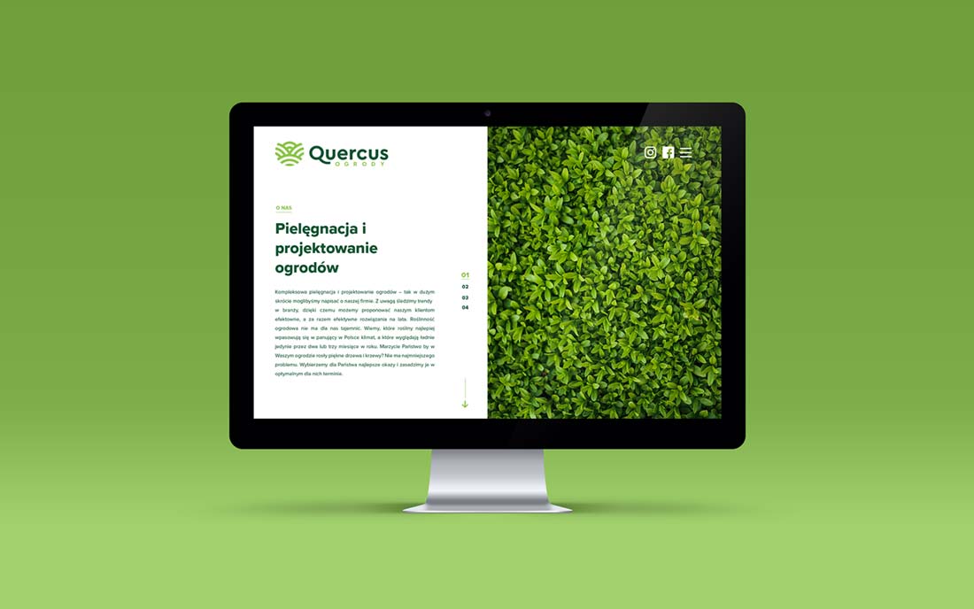 成都千葉品牌農業(yè)公司VI設計-5