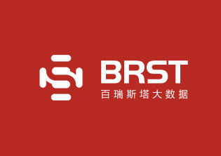 上海百瑞斯塔大數據公司LOGO設計