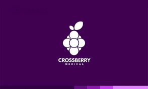 杭州CROSSBERRY醫療設備產品商標設計